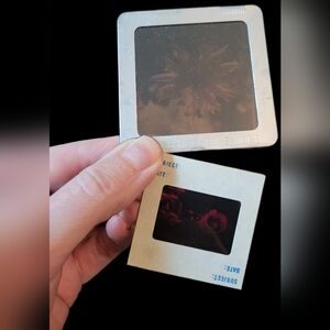 Lot Of Vintage Photo Slides